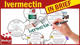 Ivermectin  Stromectol  What is Ivermectin Uses Dosage Side Effects and Precautions [upl. by Leizahaj]