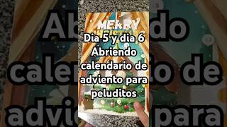 Hoy abrimos 2 ventanillas 🥳 calendarioadviento navidad animales [upl. by Ahsekyt676]