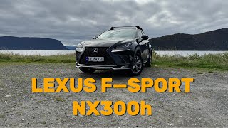 2019 Lexus Nx300h Fsport review  POVdrive [upl. by Uziel]