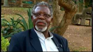 Relações ÉtnicoRaciais  Prof° Dr Kabengele Munanga [upl. by Oluap]