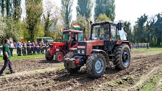 Belarus 8202 vs MTZ 80 💪 Meglepő eredmény  Szarvas 2022  RÁBA Kamion húzások [upl. by Ahsemac]