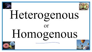 Heterogenous vs Homogenous Definitions Examples amp Practice [upl. by Aicnarf]