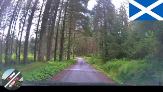 A drive through the forests of South West Scotland [upl. by Kcirddet701]