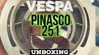 vespa PINASCO 251cc unbox  FMPSolidPASSion [upl. by Ellehcirt]