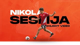 Nikola Seslija Highlight Video [upl. by Unhsiv]