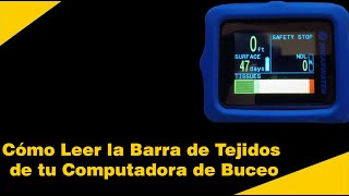 Cómo Leer el Compartimiento de Tejido de tu Computadora de Buceo [upl. by Assiralc385]