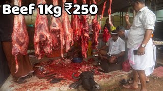 250 രൂപക്ക് ഒരു കിലോ ബീഫ്  Beef market in Kerala  Meat Market in Kerala  Beef  Meat  mutton [upl. by Teyugn]