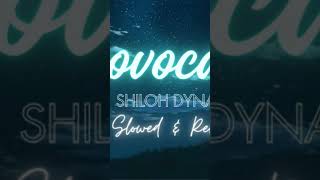 Shiloh Dynasty  Novocaine  Slowed  Reverb [upl. by Silado703]