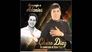 15 Juana  Churo Diaz Homenaje a Adaníes Díaz [upl. by Jueta462]