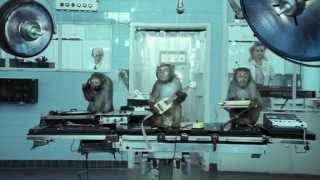 The Secrets Behind the Basement Jaxx Wheres Your Head At Video [upl. by Akemak]