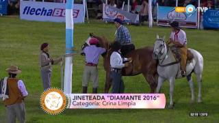 Festival de Jineteada y Folclore Diamante 2016  Jineteada categoría Crina Limpia [upl. by Yelsna107]