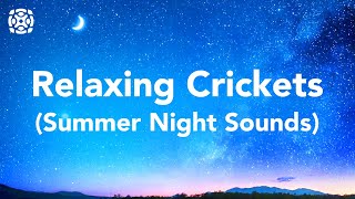 Night Time Summer Nature Sounds Cricket Conversations For Sleeping 12 Hours [upl. by Niriam]