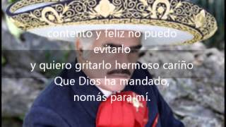 Hermoso cariño Vicente Fernandez con letra [upl. by Ecnarolf707]