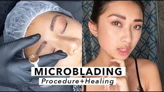 Microblading  Healing Process [upl. by Uahsoj]