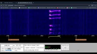 E07 English Man 25072024 1430 UTC 14862kHz [upl. by Nylemaj]