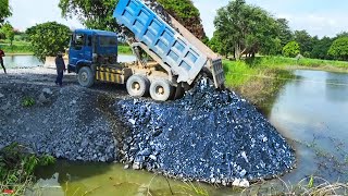 Amazing Skill  Dump Truck 10 Wheel Push Rock Into Water Deleted The Pond  KOMATSU Bulldozer D40P [upl. by Acirrehs697]