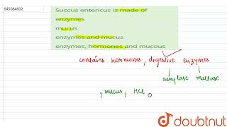 Succus entericus is made of  12  NTA NEET SET 108  BIOLOGY  NTA MOCK TESTS ENGLISH  Doubtn [upl. by Meekar290]