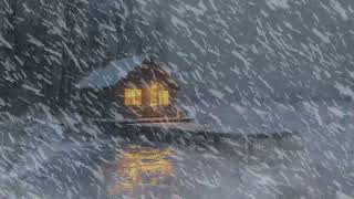 Lonely House in a Snowstorm for Reduce Stress  Sleep to the Sound of Howling Winds and Icy Silence [upl. by Ahsiuqal427]