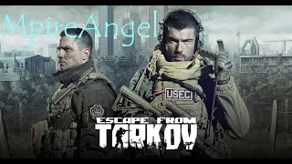 Escape From Tarkov  A Newbs Painful Learning Curve  MpireAngel [upl. by Tessi998]