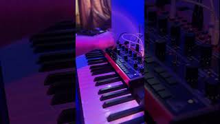 Behringer Crave  Arp In Three synth behringer crave synthesizer music [upl. by Nylynnej]