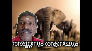 അണ്ണനും ആനയും [upl. by Notneuq]