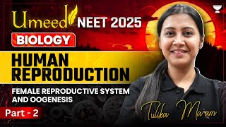 UMEED NEET 2025 Human Reproduction  Female Reproductive System amp Oogenesis  Tulika Jha [upl. by Tutankhamen]