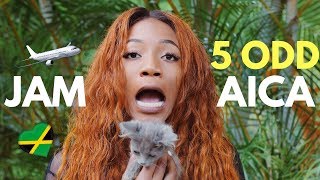 5 ODD THINGS ABOUT JAMAICA TO KNOW 🇯🇲🌴🌞  Annesha Adams [upl. by Atikam]