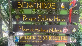 🔴 De regreso al parque Saburo Hirao  El Salvador  San Salvador 🔴 [upl. by Nuhsyar995]