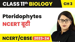 Pteridophytes  NCERT बूटी  Plant Kingdom  Class 11 Biology Chapter 3  NCERTCBSE [upl. by Aluap]