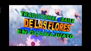 Baile de las Flores 2022 Guanajuato Promo [upl. by Sakram]