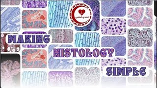 Connective Tissuepart 1HistologyDone by  Mohammad Al Ajory [upl. by Burney]