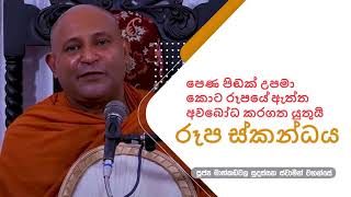 රූපස්කන්ධය  Most Ven Mankadawala Sudassana Thero [upl. by Zzabahs181]