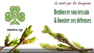 La santé par les bourgeons  Renforcer son terrain amp booster ses défenses [upl. by Anaehr]