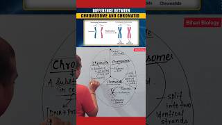 Chromosome Vs Chromatids neet2025 nursing cell [upl. by Acinoreb673]