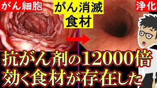 【科学的根拠あり】がん細胞を消滅させる食べ物5選！癌の増殖・転移を阻害【悪性新生物｜すい臓がん｜大腸がん｜胃がん｜原因】 [upl. by Viviyan311]