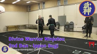 Ninjutsu 2nd Dan  151  Ippon Sugi [upl. by Grunenwald231]