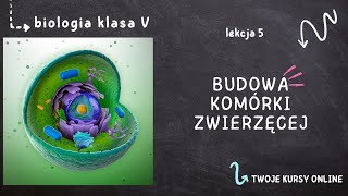 Biologia klasa 5 Lekcja 5  Budowa komórki zwierzęcej [upl. by Claudine]