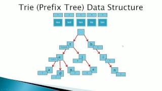 Trie Trees or Prefix Tree Data Structure How it Works [upl. by Albina]