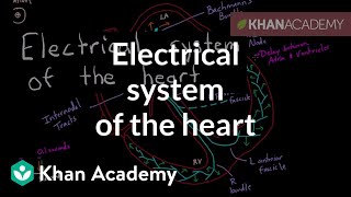 Electrical system of the heart  Circulatory system physiology  NCLEXRN  Khan Academy [upl. by Esnahc404]