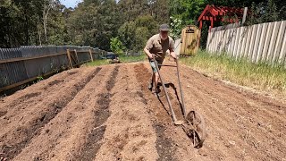 My Last Planting [upl. by Shara335]