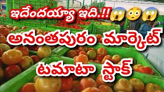 2024 Anantapur tomato market ratestoday tomato market ratestoday Anantapur tomato rates [upl. by Orth]