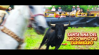 JARIPEO DE TOROS BRAVOS BUSCA CABALLOS SANTA ANA DEL ARCO TARIMBARO [upl. by Naryb]