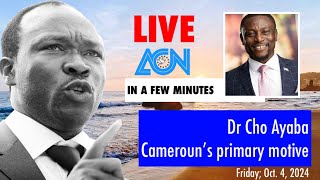 Dr Cho Ayaba Cameroun’s primary motive [upl. by Marabel]