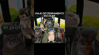 Viaje de campamento escolar parte 1 shorts viajes gatitos humor storytime [upl. by Concettina807]