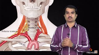 Brachial Plexus Advanced lecture  Usmle Fast Track mode  not for beginners  Dr Bhanu prakash [upl. by Pietro930]