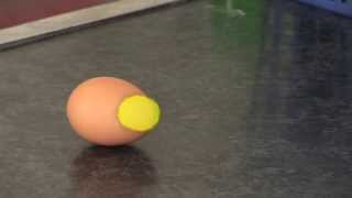 Egg Experiment to Demonstrate Inertia [upl. by Myrna]