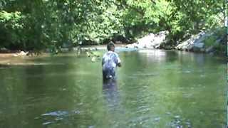 Fishing for trout in the river hiawassee ga [upl. by Ciredor]