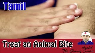 How to Treat an Animal Bite  First Aid in Tamil [upl. by Ykcul239]