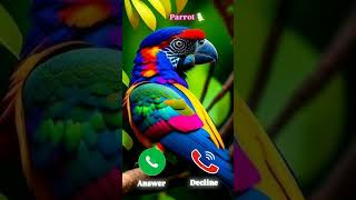 ringtone smartphone ringtones music cat applemusicringtones iphonerington marvel funny [upl. by Adien841]