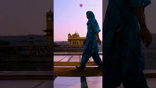 Discover the Golden Temple A Sanctuary of Peace and Unity in Amritsar GoldenTemple youtubeshorts [upl. by Herbert]